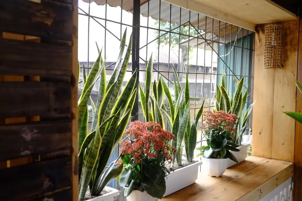 A Green Home - photo 15