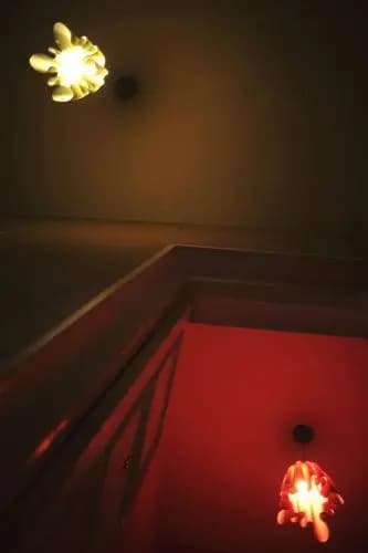 Argo Palace - photo 14
