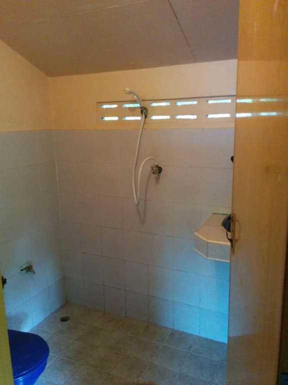 Dolphin Bungalows - photo 5