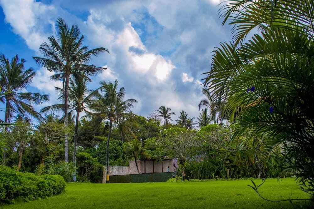 Andaru Villa Tabanan - photo 11