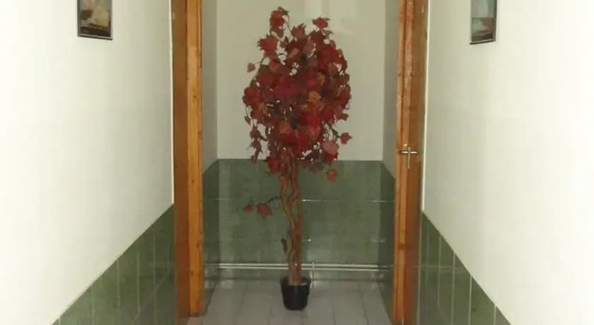 Pesti Szallo - photo 9