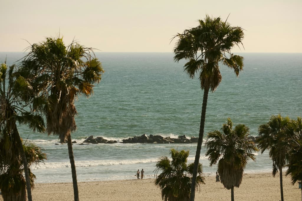 Erwin Venice Beach Hotel - photo 29