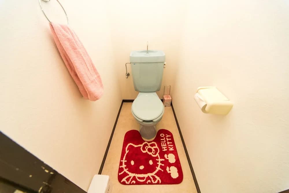 Universal Room - photo 7