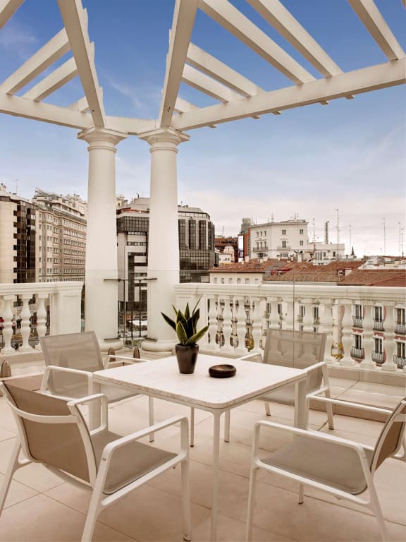 Palacio de los Duques Gran Meliá - photo 25