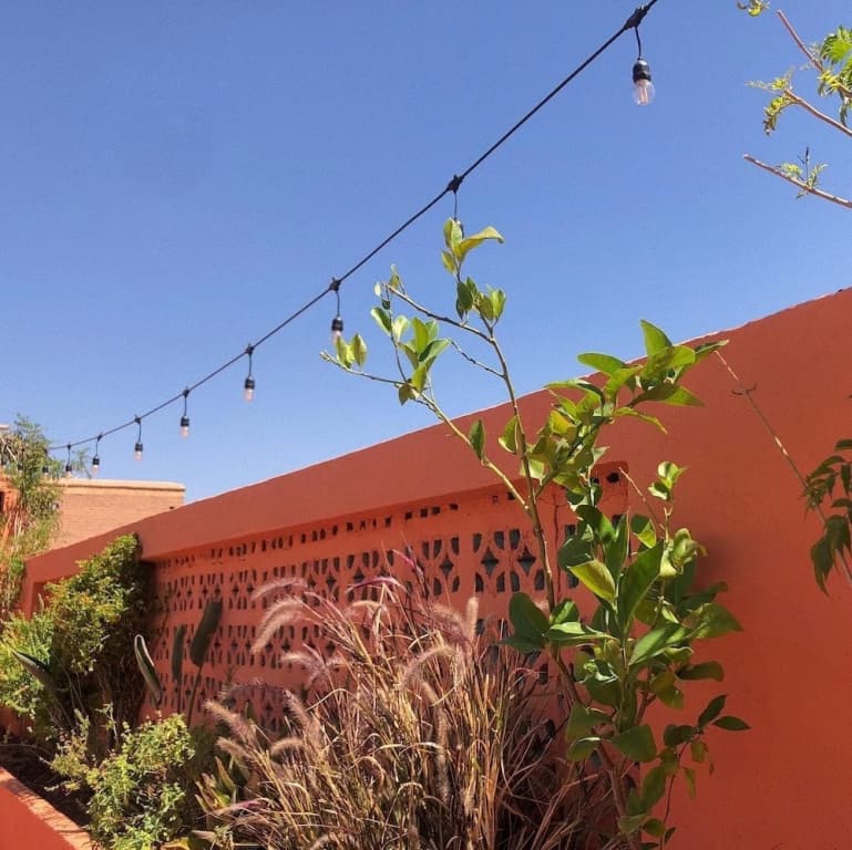 Riad Imndi - photo 1
