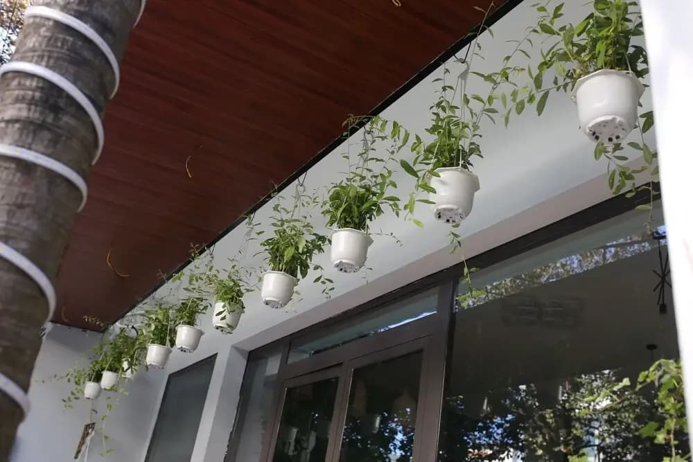 L hostel - photo 1