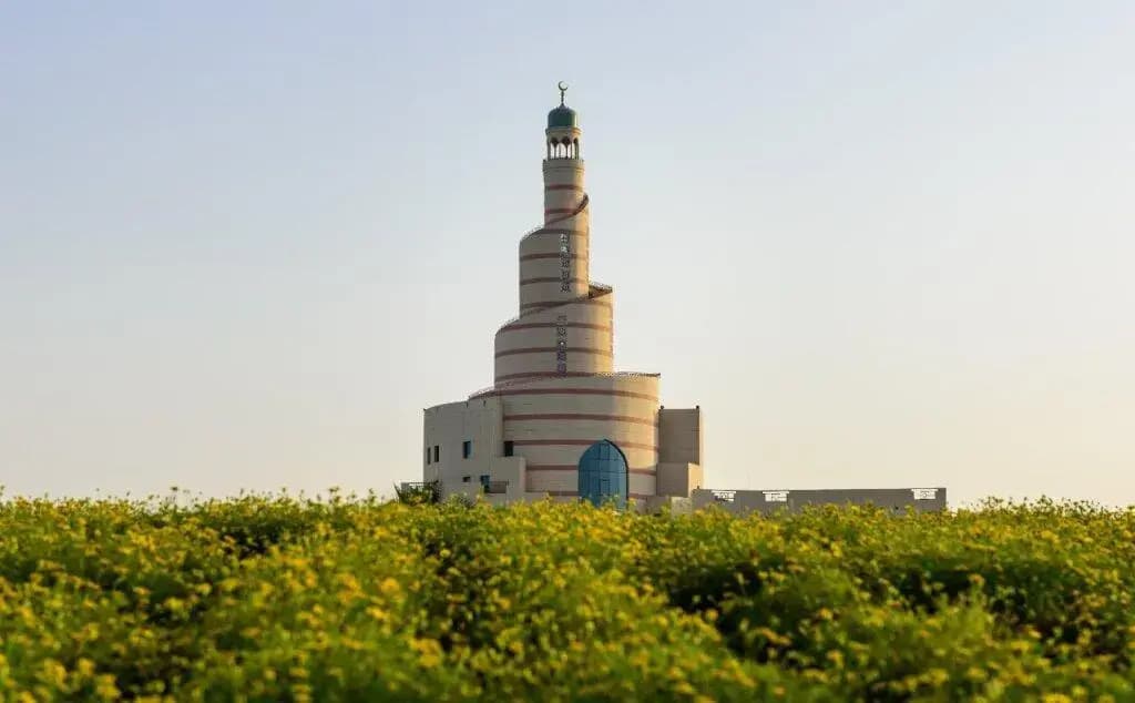 Zubarah Hotel - photo 35