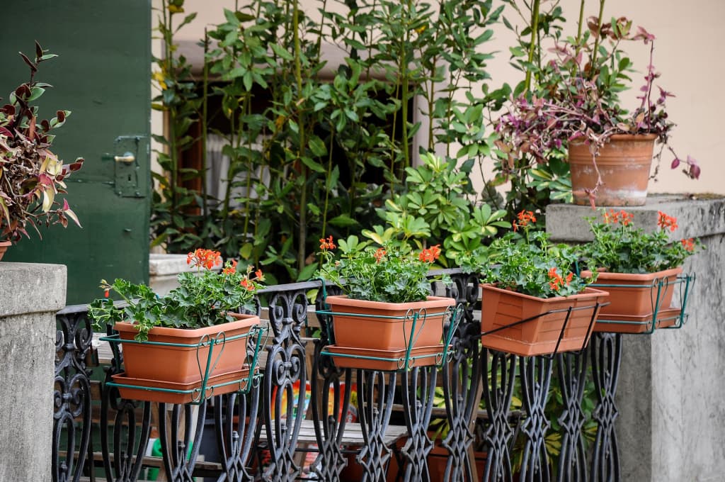 Residenza Betta - Guest House - photo 19