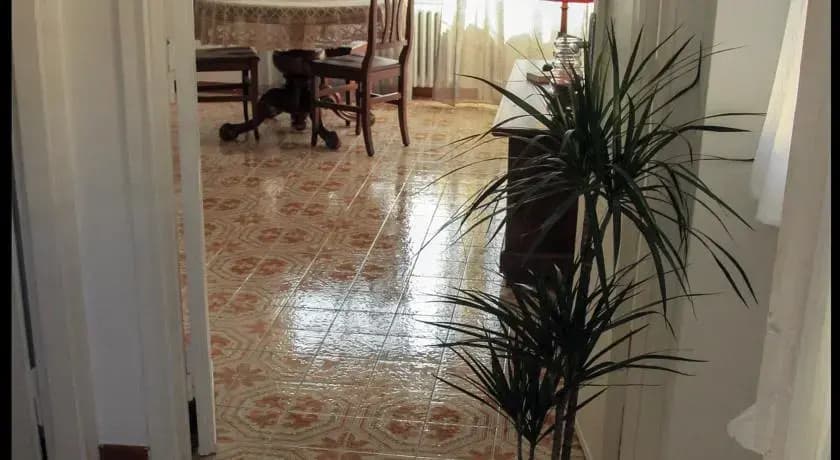 Domus Roma Vacanze - Qui Staremo Bene - photo 7