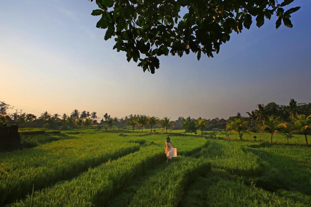 Wapa di Ume Ubud Resort & Spa - photo 47