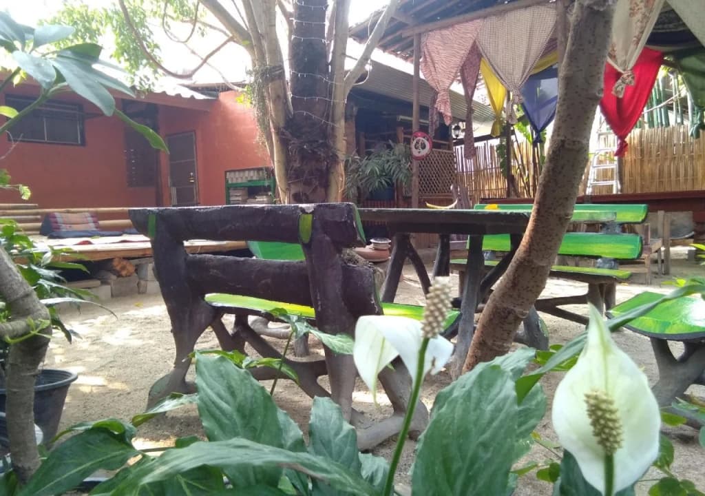 SDT Home - photo 38