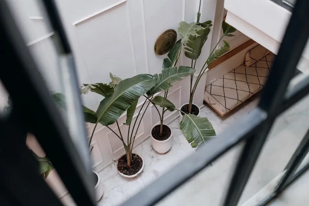 Riad Aicha Kitchen - photo 19
