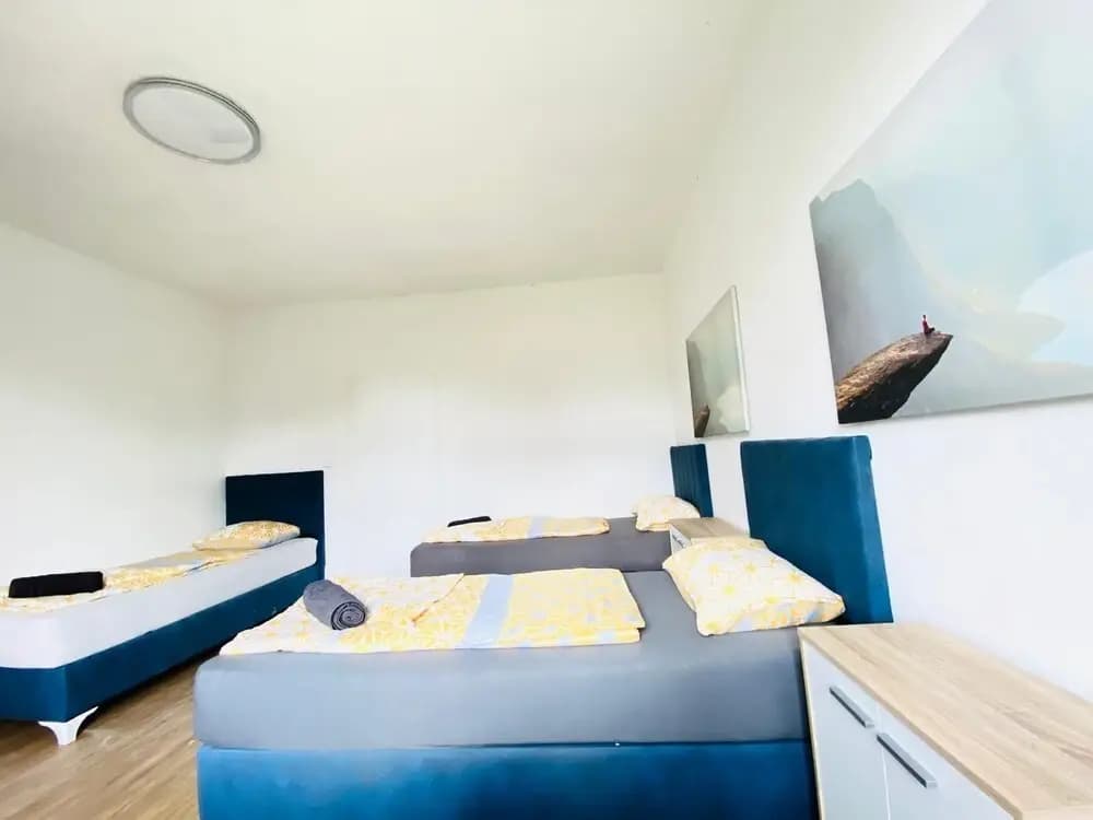 Spacious 4BR for 15 & 15 Min to Danube - photo 17