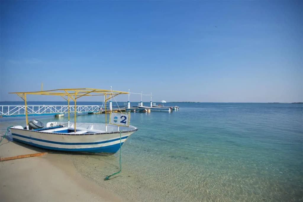 Bin Majid Flamingo Beach Resort - photo 20