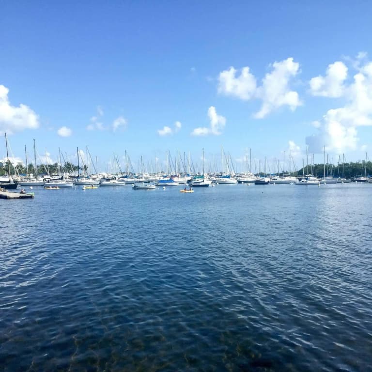 Pelicanstay in Coconut Grove Miami - photo 14