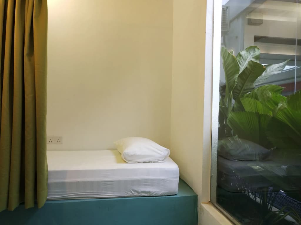 Beds In Garden Hostel - photo 2