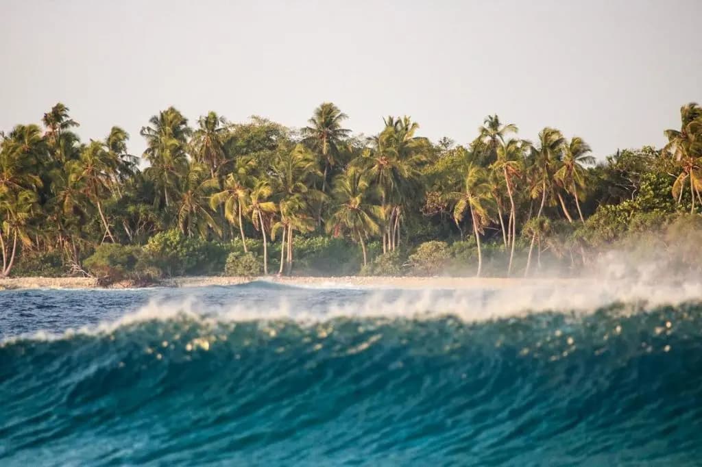 Himmafushi Surfing Home - photo 9