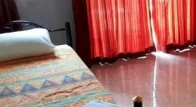 Backpacker Hostel - photo 3