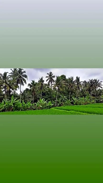 Galang Hari Villa - photo 15