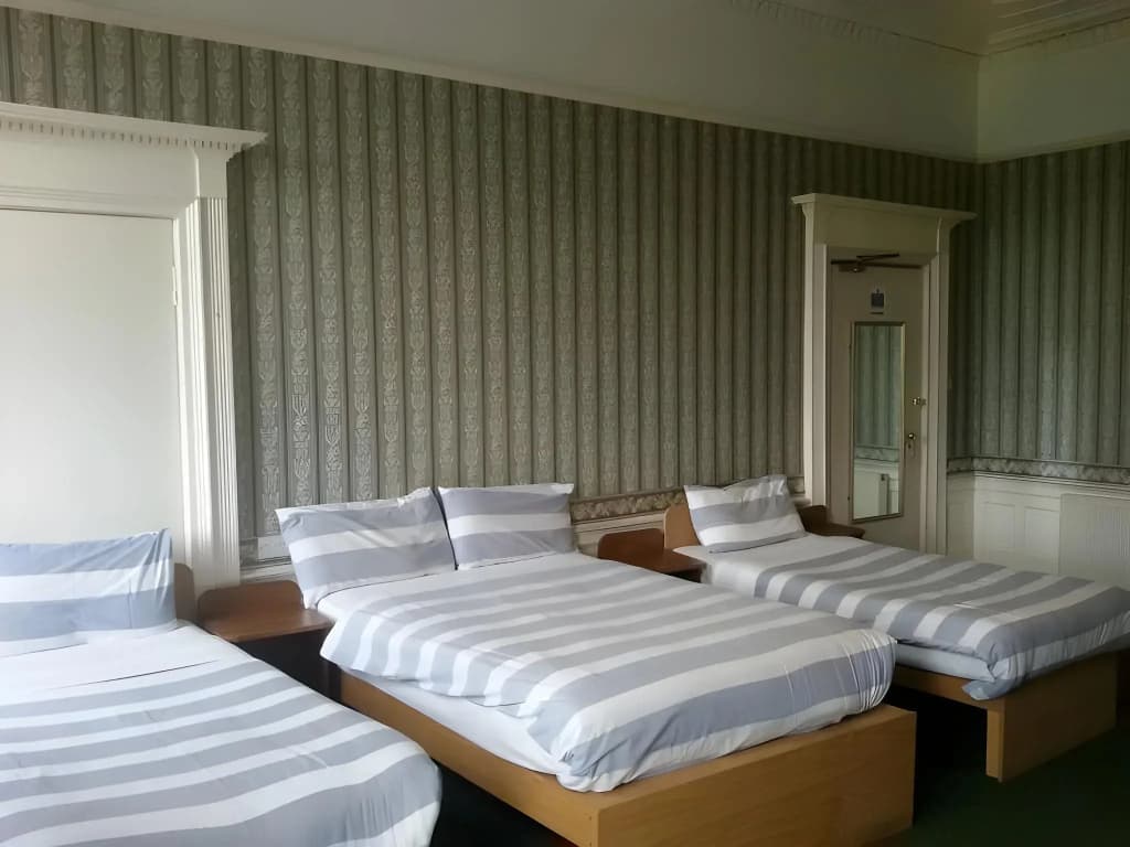 Adelphi Hotel - photo 3