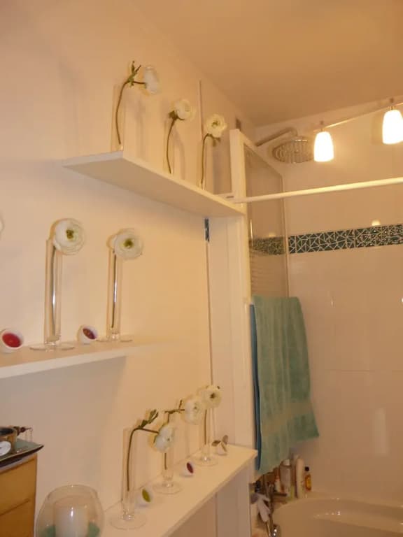 Location Sweet Home Paris 12 Terrasse Verdure 55m 2 pièces - photo 9