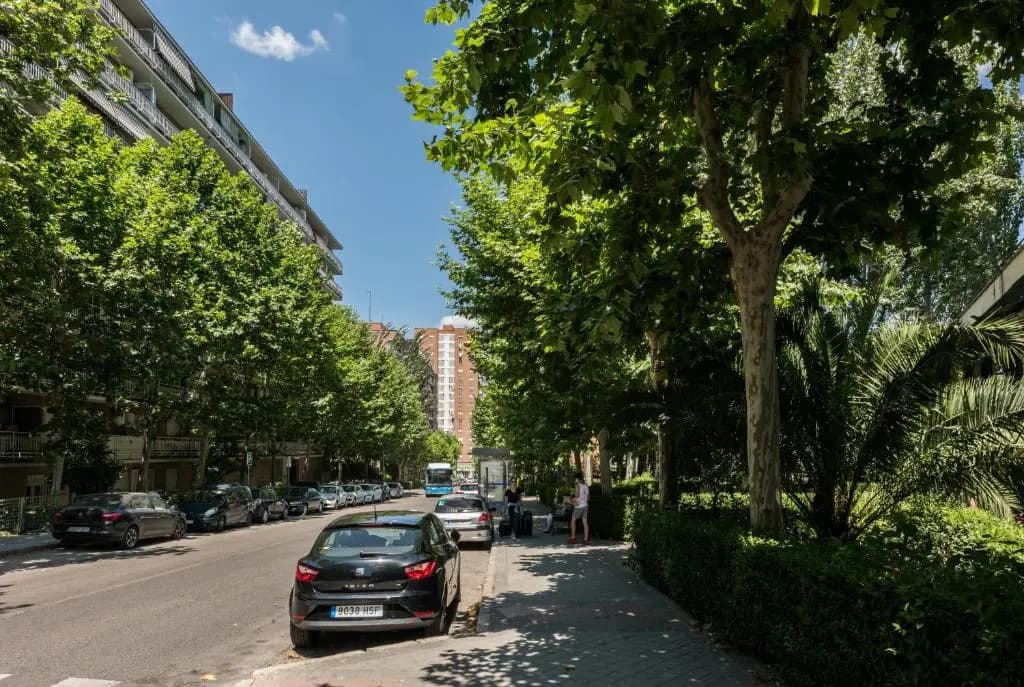 Apartment IFEMA-Airport - photo 15