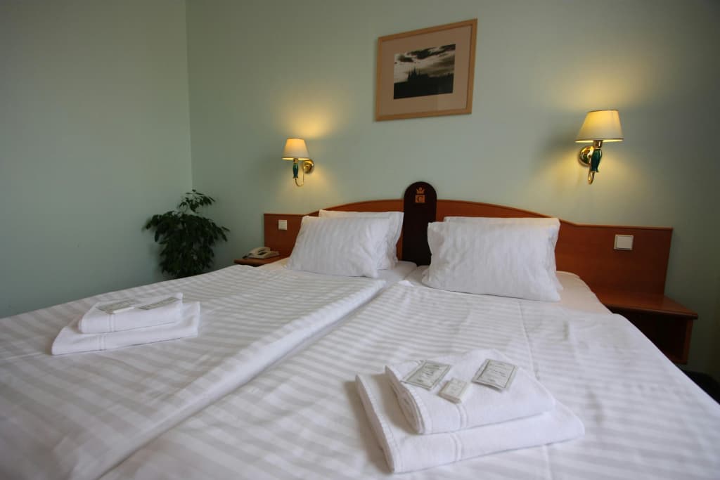 Central Hotel Prague - photo 5