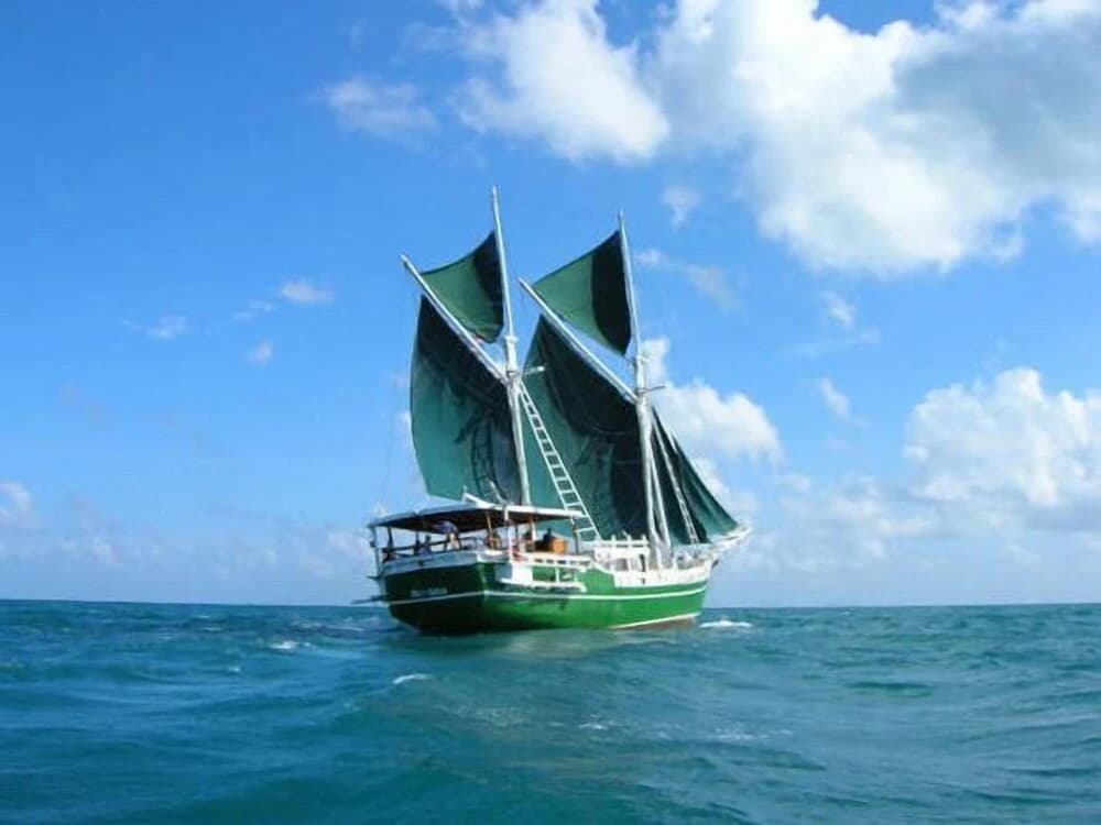 Spaboat - photo 8