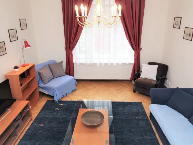 Manes Apartment - photo 4