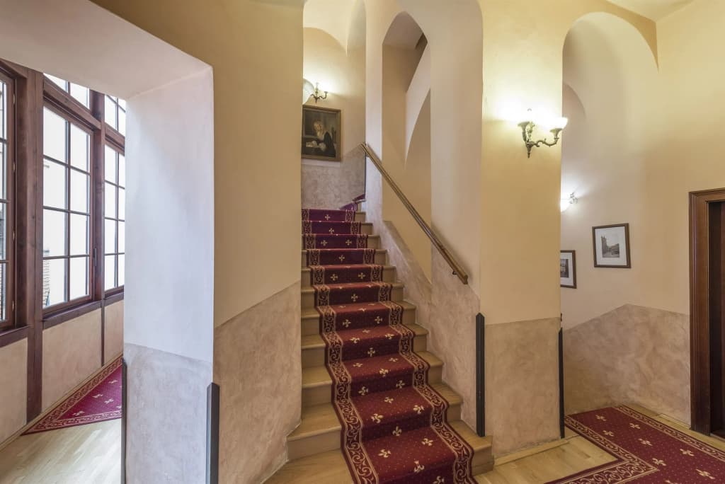 Hotel Cerny Slon - photo 12