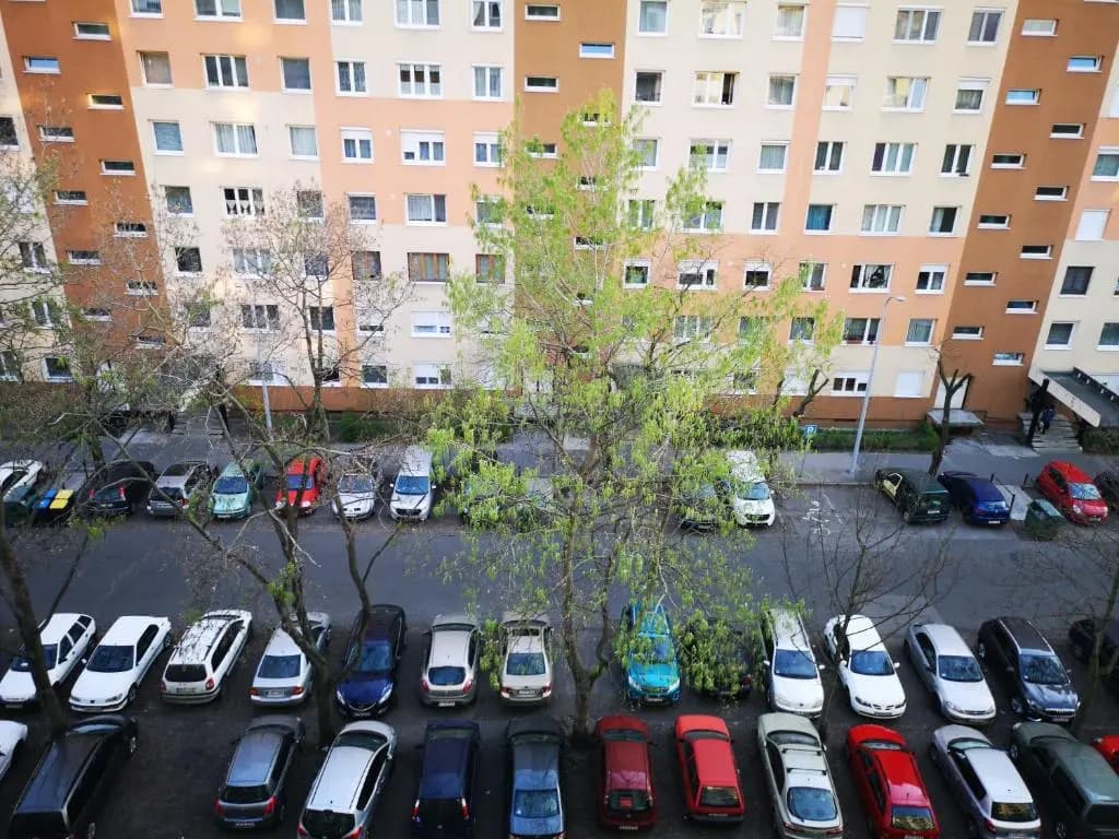 Erdőkerülő Apartman - photo 5