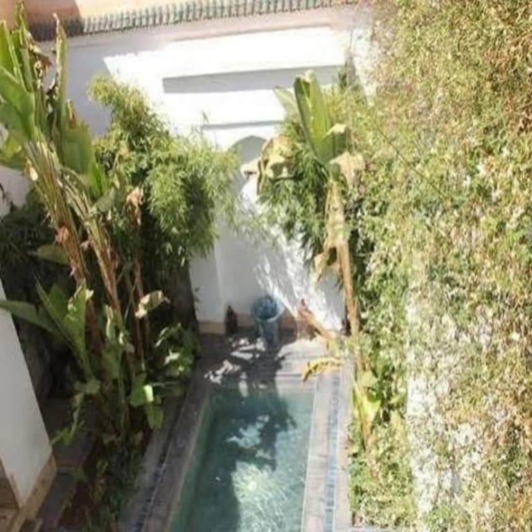 Riad Essakaya - photo 7