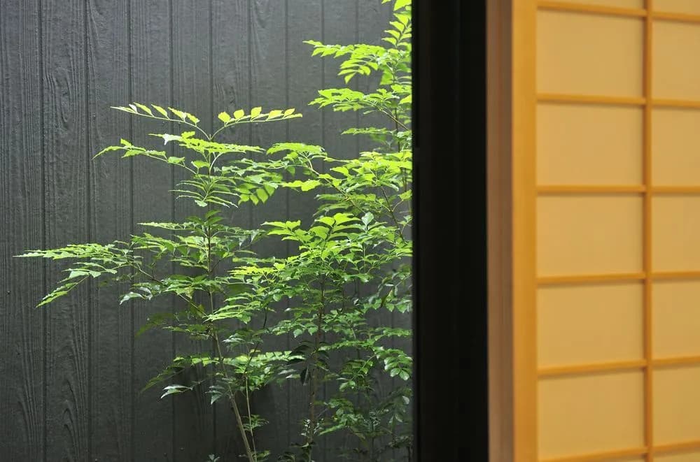 Fugabettei Kyoto Tanbaguchi - photo 17