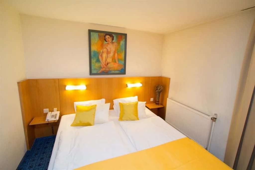 Arthotel Vienna - photo 5