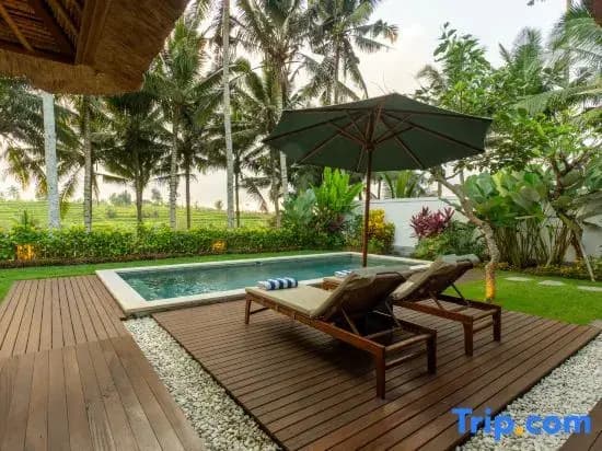 The Lanaya Villa - photo 14