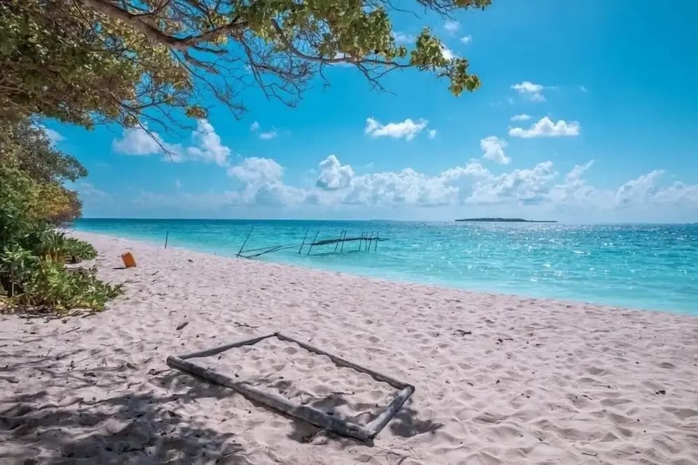 Hanifaru Beach Inn - photo 14