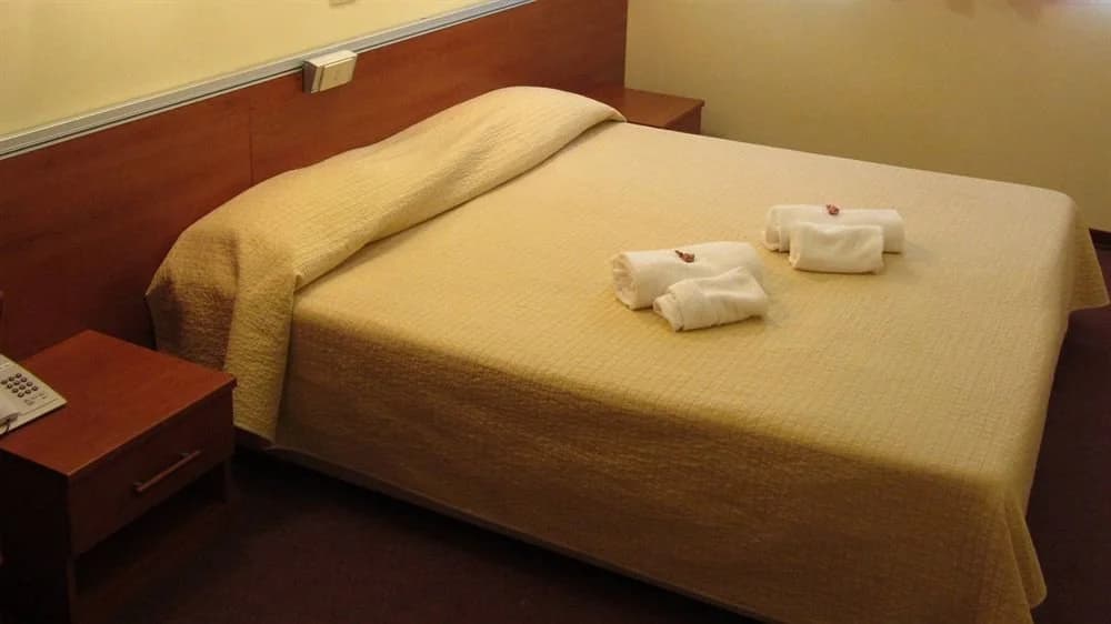 Hotel Villa Carmen - photo 2