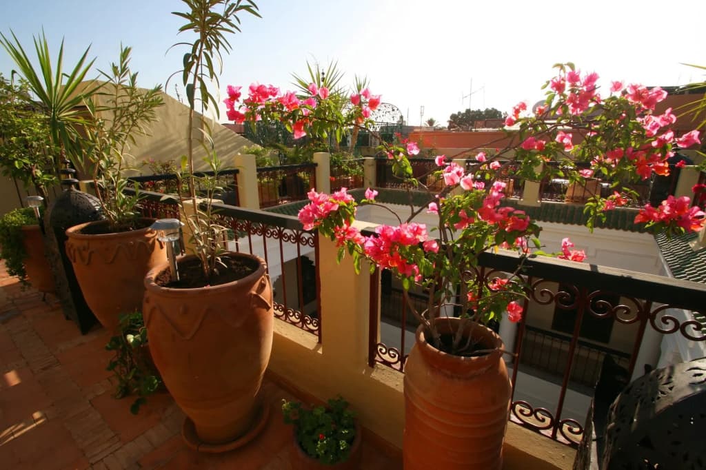 Riad Africa - photo 24