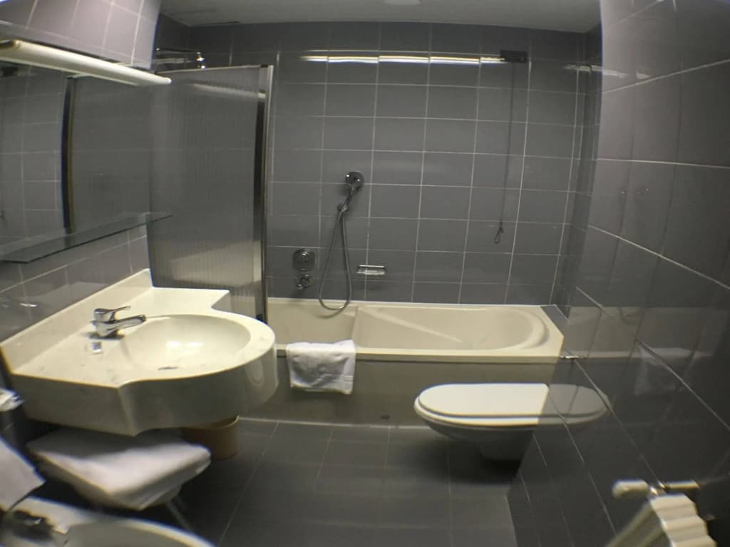 Hotel Domenichino - photo 9