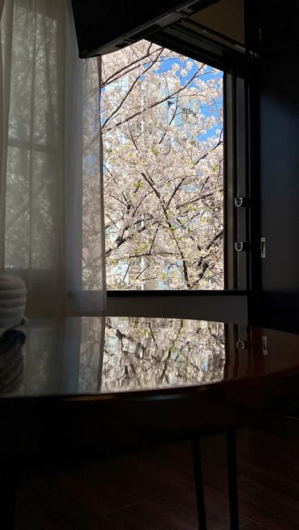 Penthouse 1-bedroom Flat in Hiroo Shibuya - photo 46