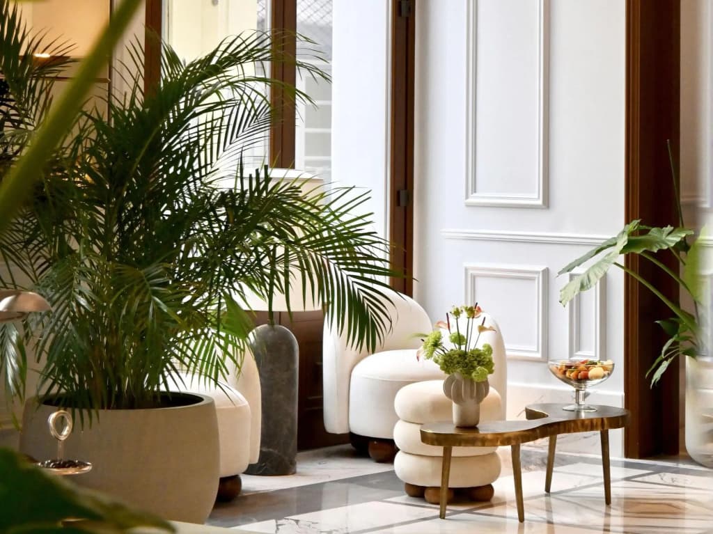 The Dolli at Acropolis, A Hotel to Live - photo 18