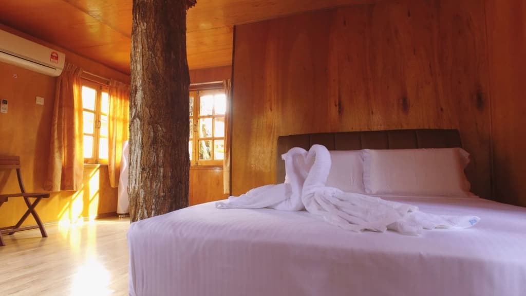 Borneo Tree House - photo 5