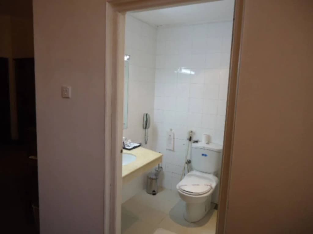 Hotel Sapphire - photo 8