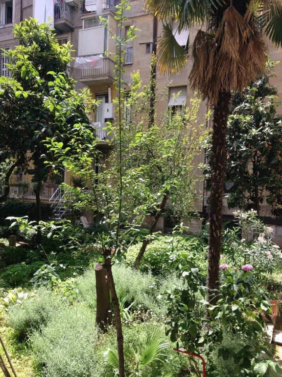 Reboa Resort - photo 9