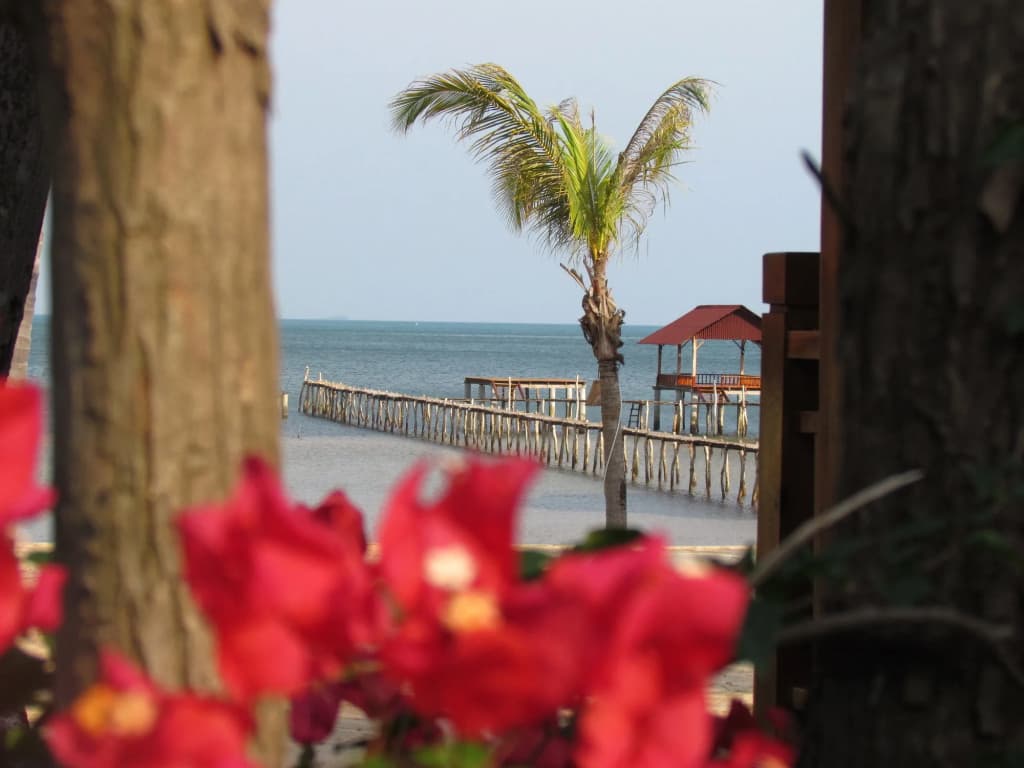Mango Beach Resort - photo 17