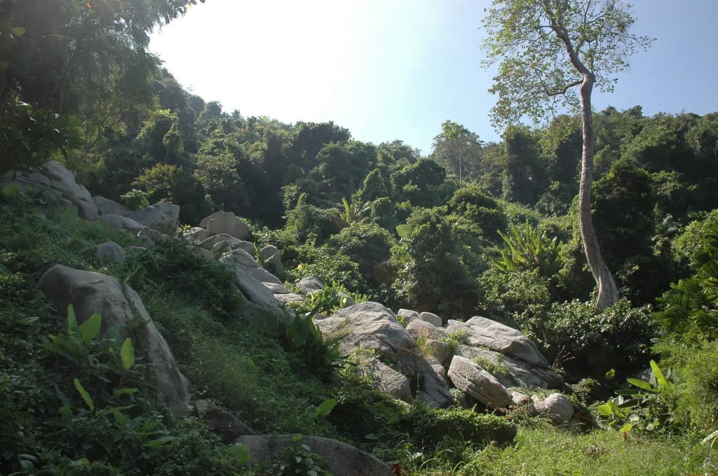 The Hermitage Kata-Phuket - photo 39