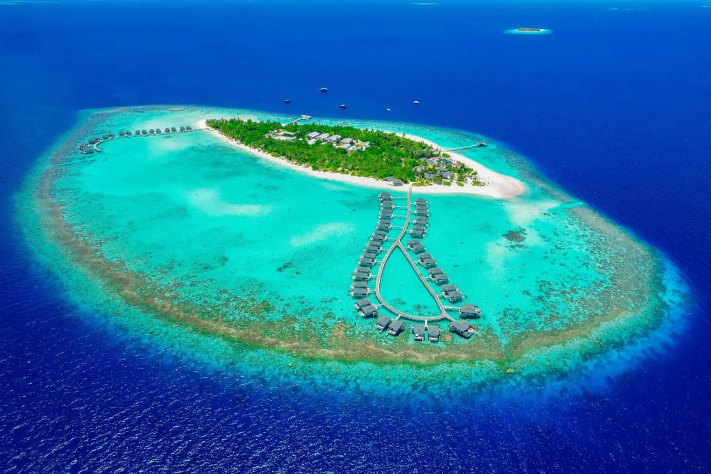 NH Collection Maldives Havodda Resort - photo 27