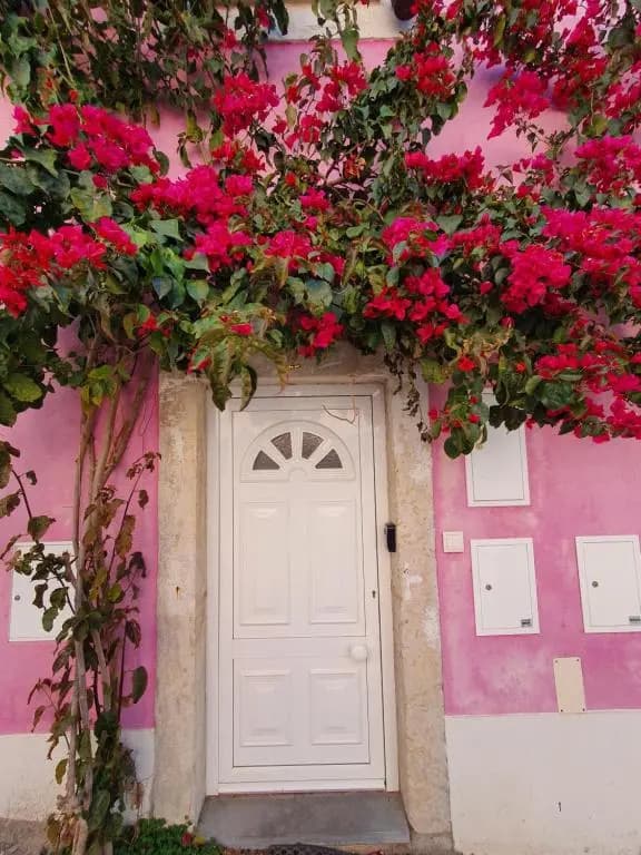 Casa Cor de Rosa - photo 5