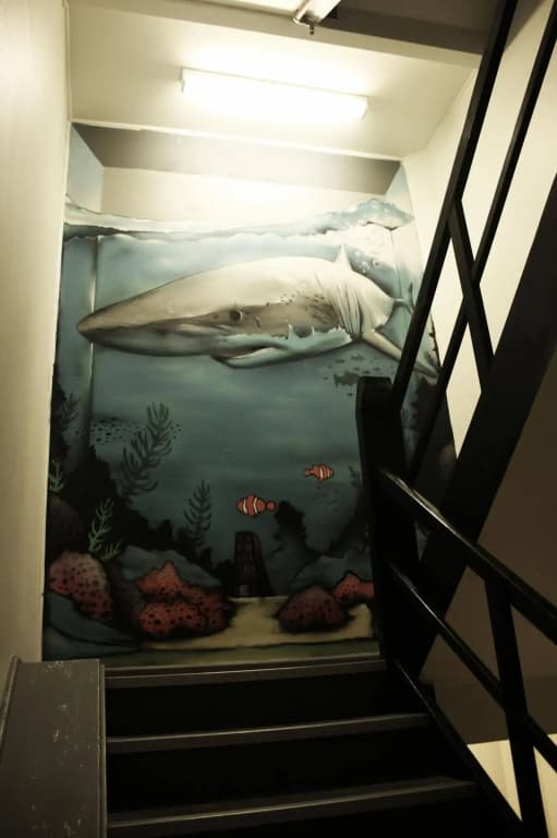 Sydney Backpackers - Hostel - photo 11