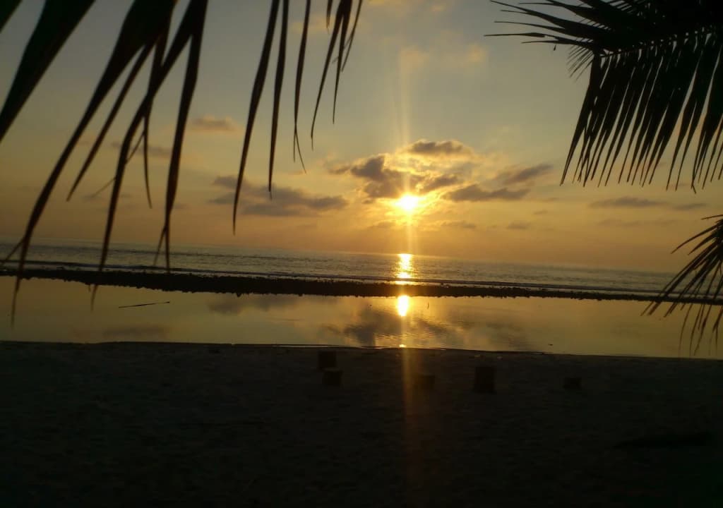Ungoofaaru Inn - photo 4